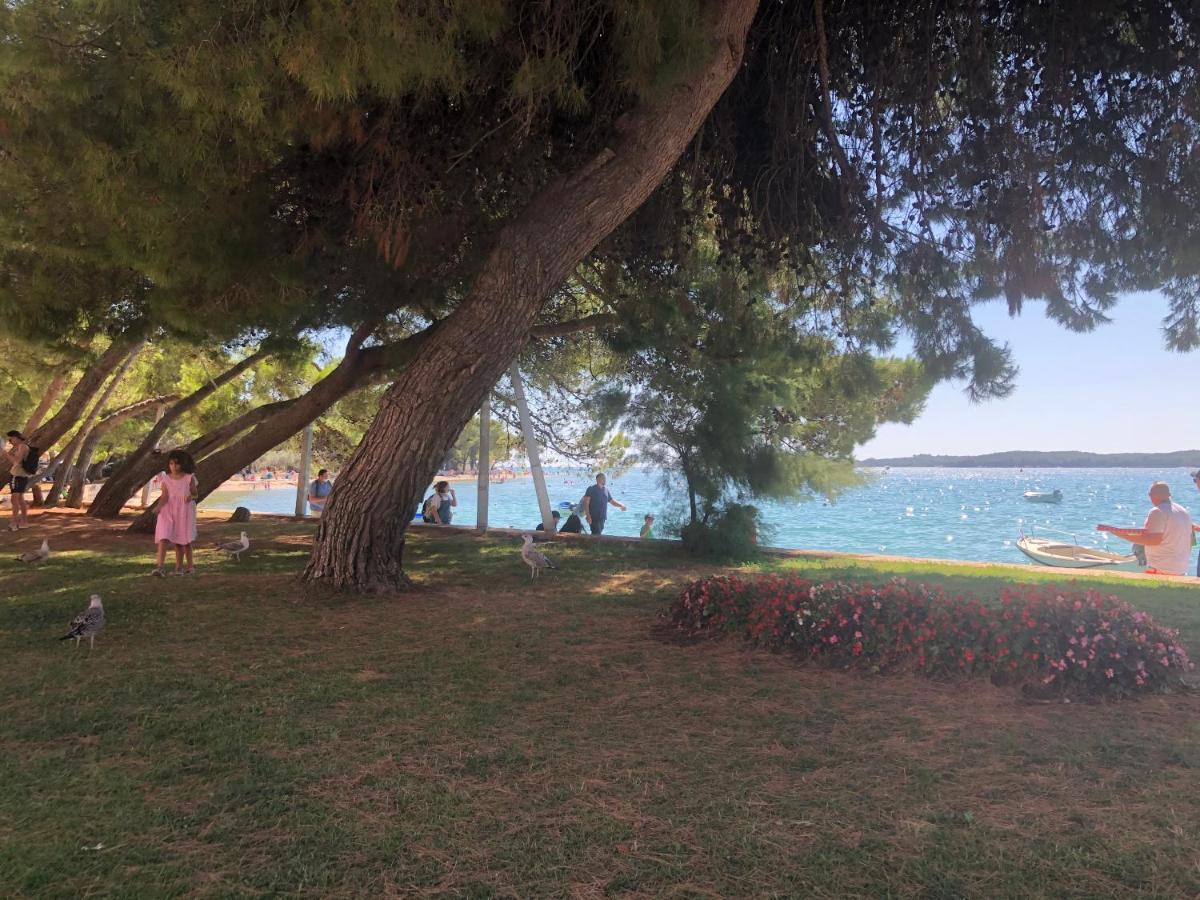 Istrian Stone House In The Heart Of The Beautiful Fishing Village Fazana - Only Few Steps From The Sea And The Wonderful Beach - Incl Plasma-Quad-Plus-Filter Against C O V I D Exterior photo